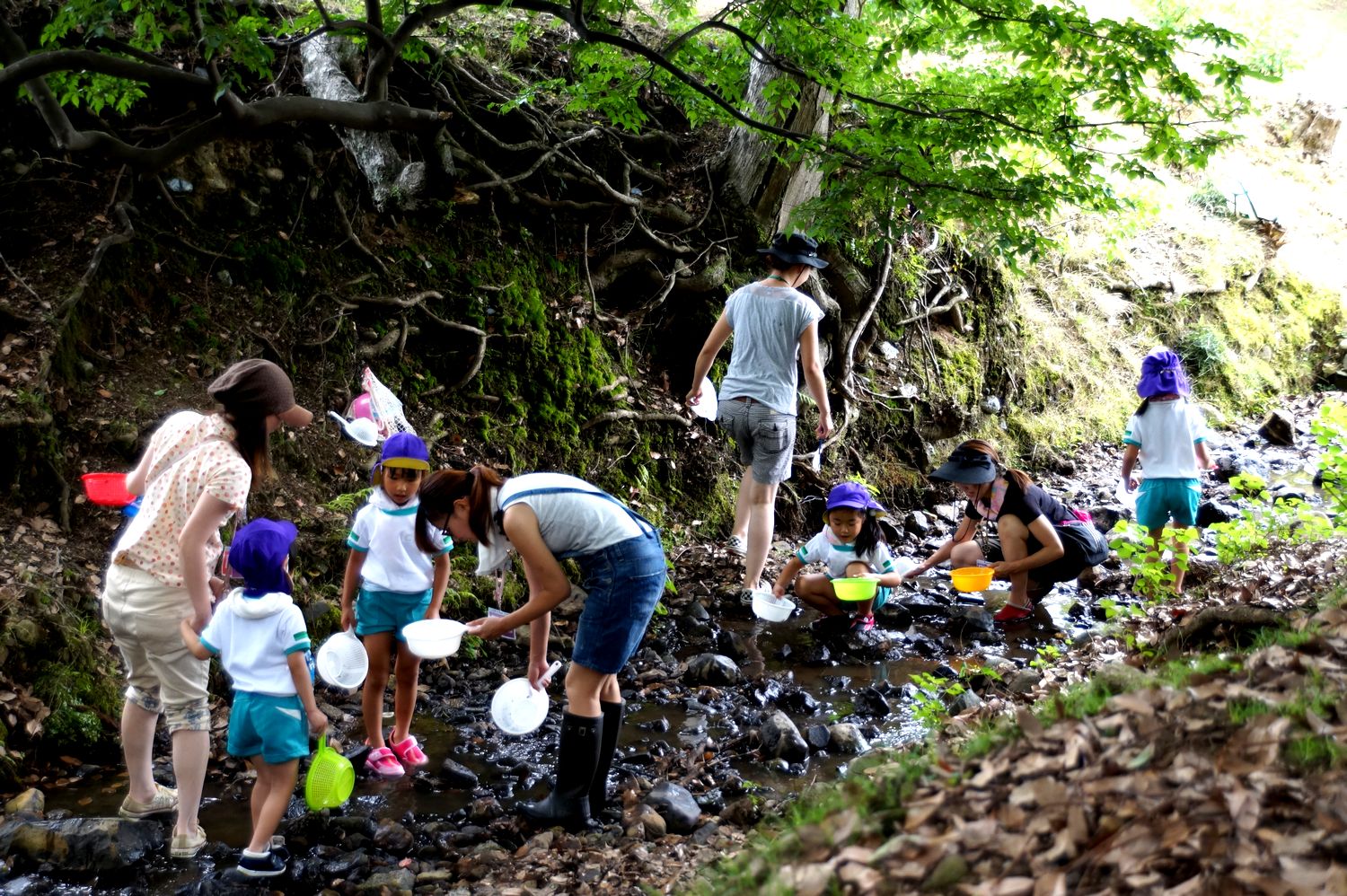 東大寺幼稚園の水辺の観察会　家族と一緒の　東大寺裏の細流　2014年7月9日